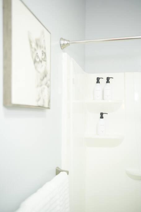 Cozy Apartment 2Nd 10Min Walk Downtown And City View Providence Bagian luar foto